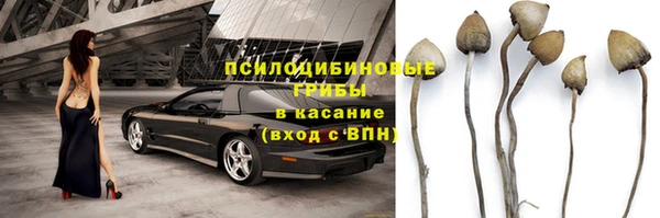 a pvp Богданович