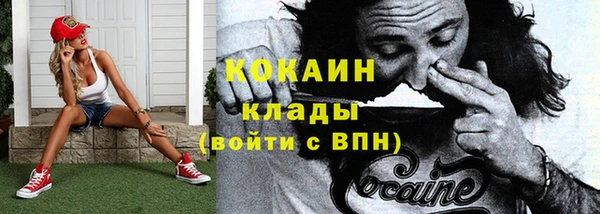 apvp Богородицк