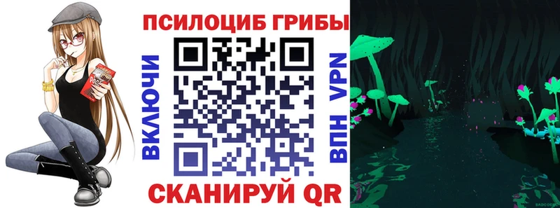 как найти   Велиж  Псилоцибиновые грибы Psilocybine cubensis 
