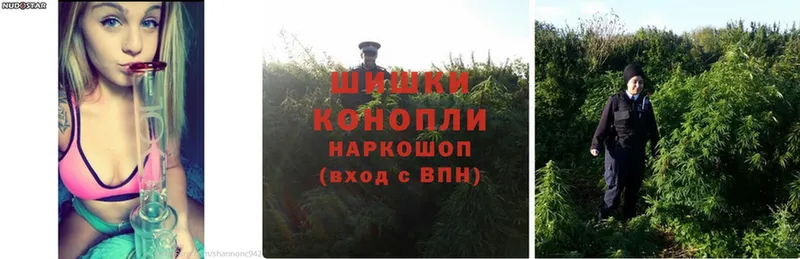 дарнет шоп  Велиж  Бошки Шишки SATIVA & INDICA 